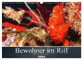 Bewohner im Riff (Wandkalender 2024 DIN A3 quer), CALVENDO Monatskalender - Bianca Schumann