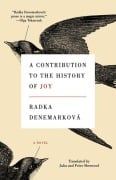 Cover-Bild zum Titel 'A Contribution to the History of Joy' von 'Radka Denemarková'