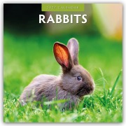 Cover-Bild zum Titel 'Rabbits - Hasen - Kaninchen 2027 - 16-Monatskalender' von 'Robin Red'