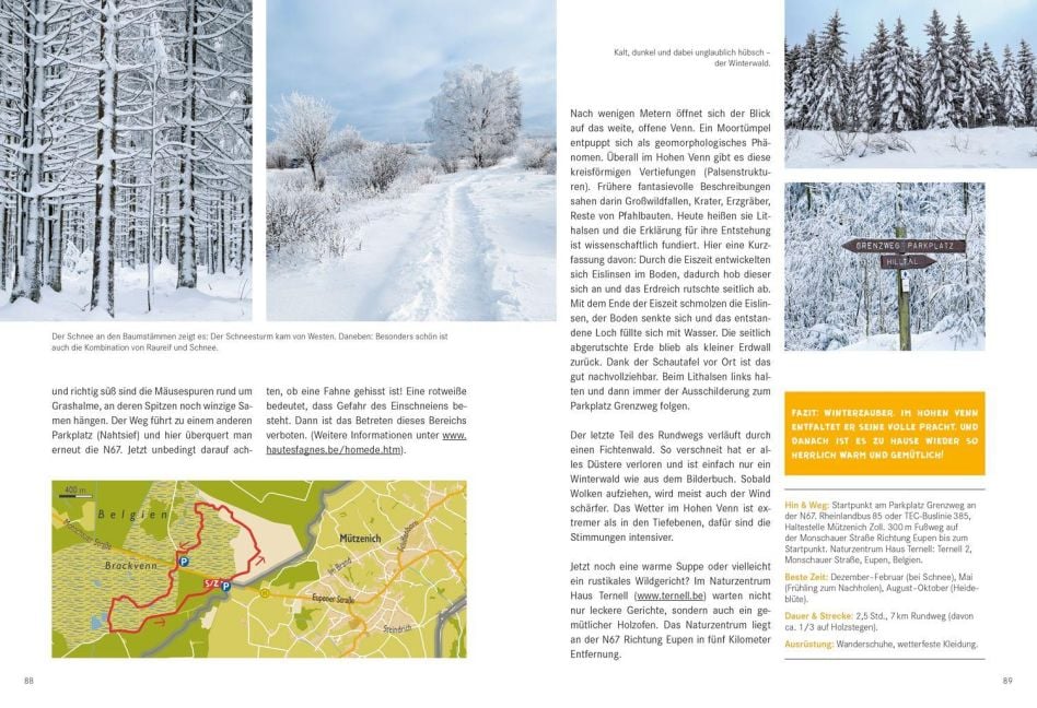 InsideView 6
