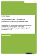 Cover-Bild zum Titel 'Möglichkeiten und Grenzen der Gesundheitsförderung in der Schule' von 'David Rauch'