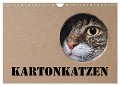 Karton Katzen (Wandkalender 2024 DIN A4 quer), CALVENDO Monatskalender - Thorsten Nilson