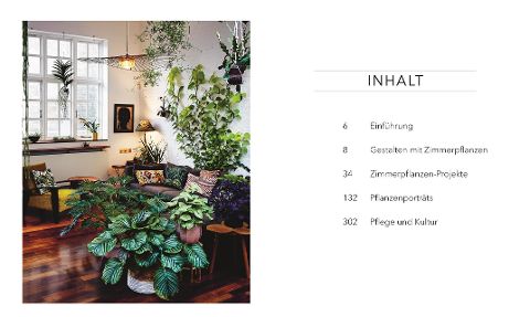 InsideView 1