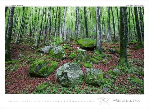 InsideView 7