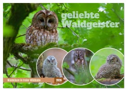 Cover-Bild zum Titel 'geliebte Waldgeister (Wandkalender 2026 DIN A3 quer), CALVENDO Monatskalender' von 'Andreas KAUZ- Freund'