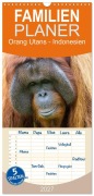 Cover-Bild zum Titel 'Familienplaner 2027 - Orang Utans - Indonesien mit 5 Spalten (Wandkalender, 21 x 45 cm) CALVENDO' von 'Heike Newinger'