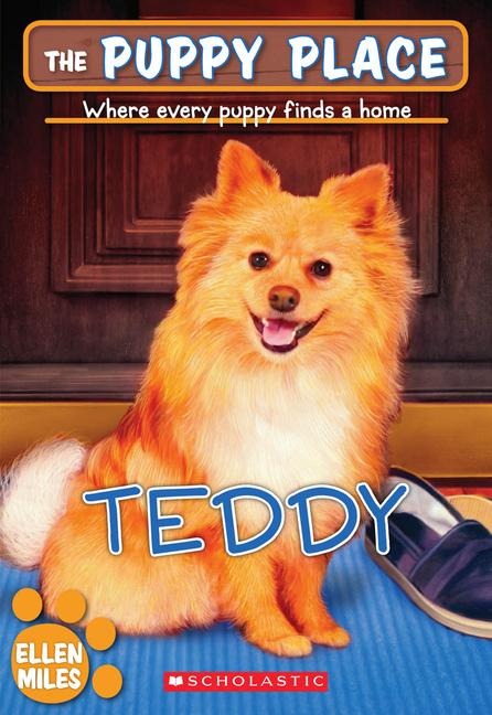 Teddy (the Puppy Place #28) - Ellen Miles