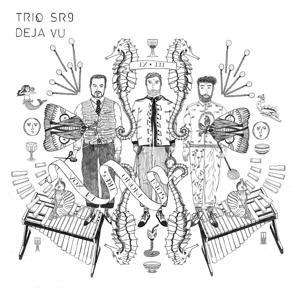 D'j... Vu - Trio SR9