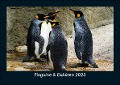 Pinguine & Eisbären 2023 Fotokalender DIN A5 - Tobias Becker