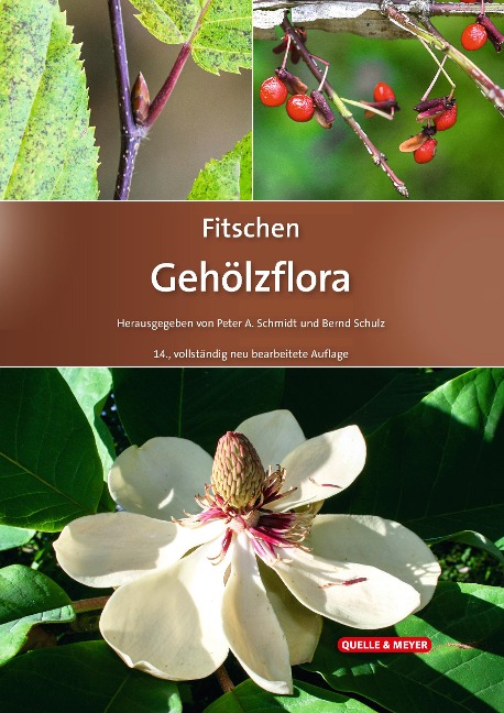 Fitschen - Gehölzflora - 