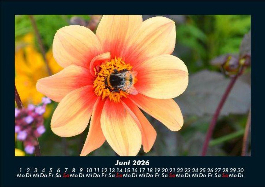 InsideView 10