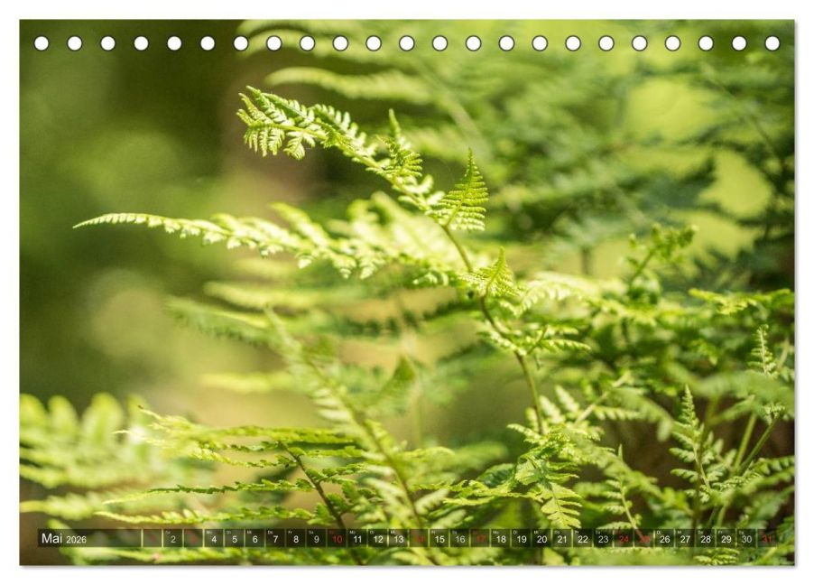 InsideView 10