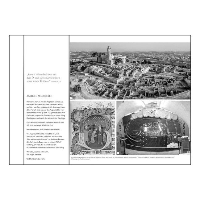 InsideView 1