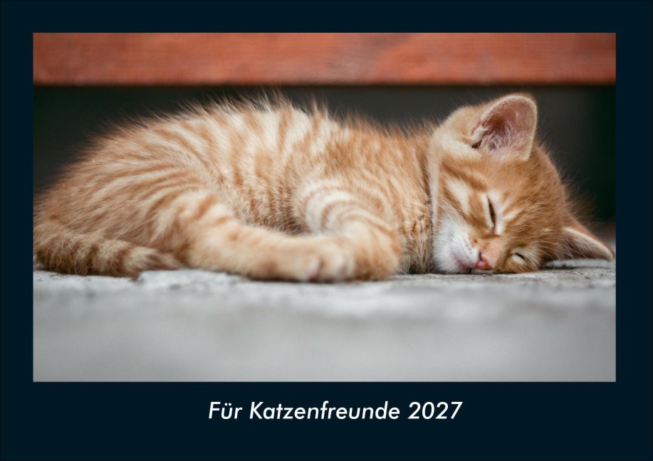 Für Katzenfreunde 2027 Fotokalender DIN A4 - Tobias Schmitt, Kevin Heber