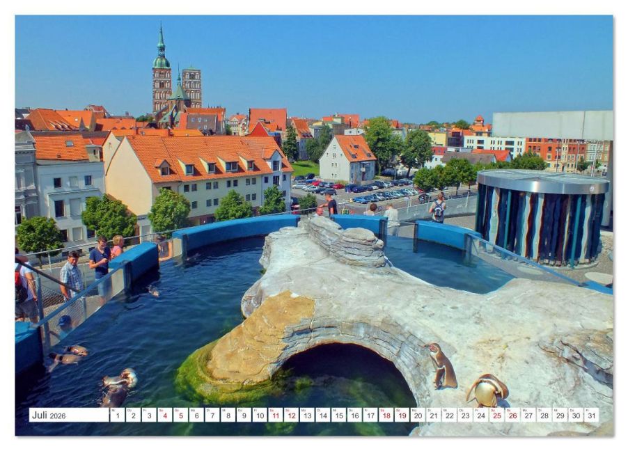 InsideView 12