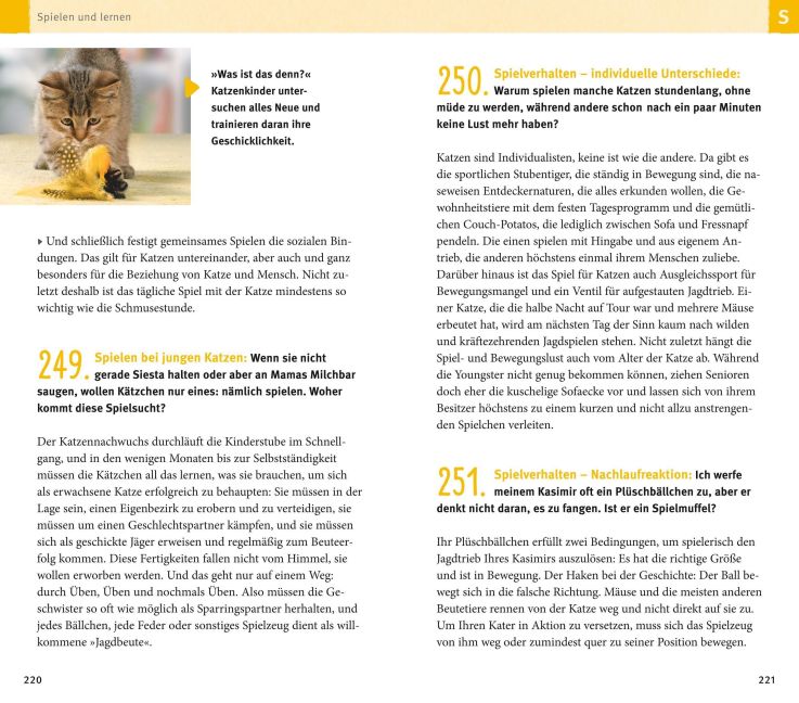 InsideView 10
