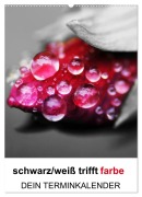 Cover-Bild zum Titel 'schwarz/weiß trifft farbe - DEIN TERMINKALENDER / Planer (Wandkalender 2026 DIN A2 hoch), CALVENDO Monatskalender' von 'Cathrin Kaden'