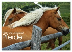 Cover-Bild zum Titel 'Pferde - Hobby und Leidenschaft (Wandkalender 2026 DIN A4 quer), CALVENDO Monatskalender' von 'Georg Niederkofler'