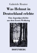 Cover-Bild zum Titel 'Was Helmut in Deutschland erlebte' von 'Gabriele Reuter'