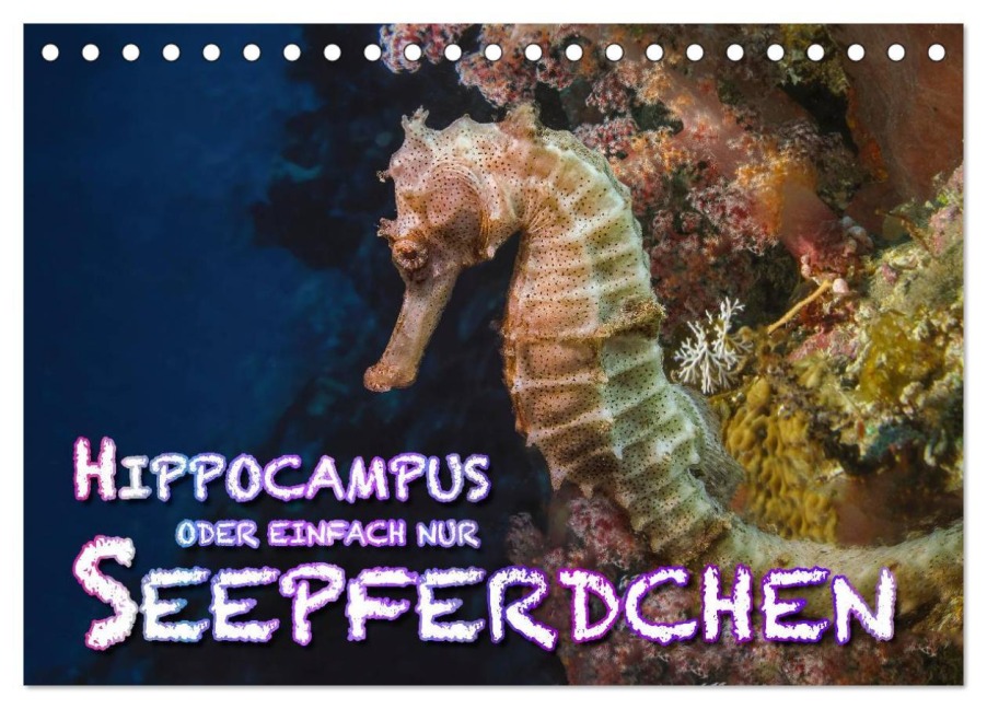 Hippocampus oder einfach nur Seepferdchen (Tischkalender 2026 DIN A5 quer), CALVENDO Monatskalender - Dieter Gödecke