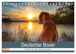 Cover-Bild zum Titel 'Deutscher Boxer (Tischkalender 2026 DIN A5 quer), CALVENDO Monatskalender' von 'Kerstin Mielke'