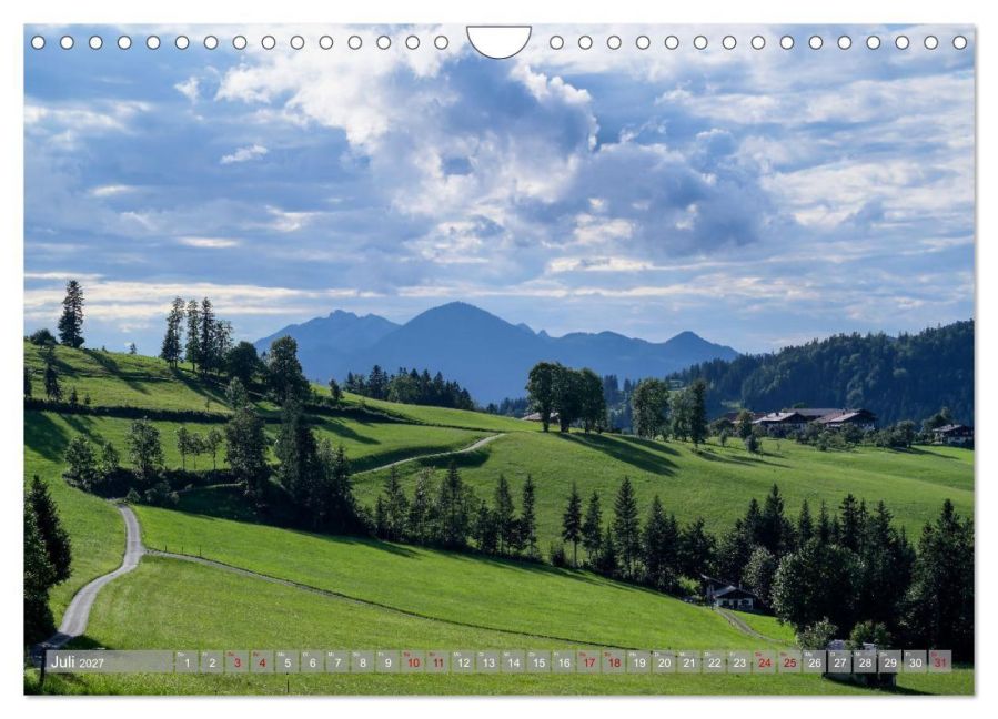 InsideView 12