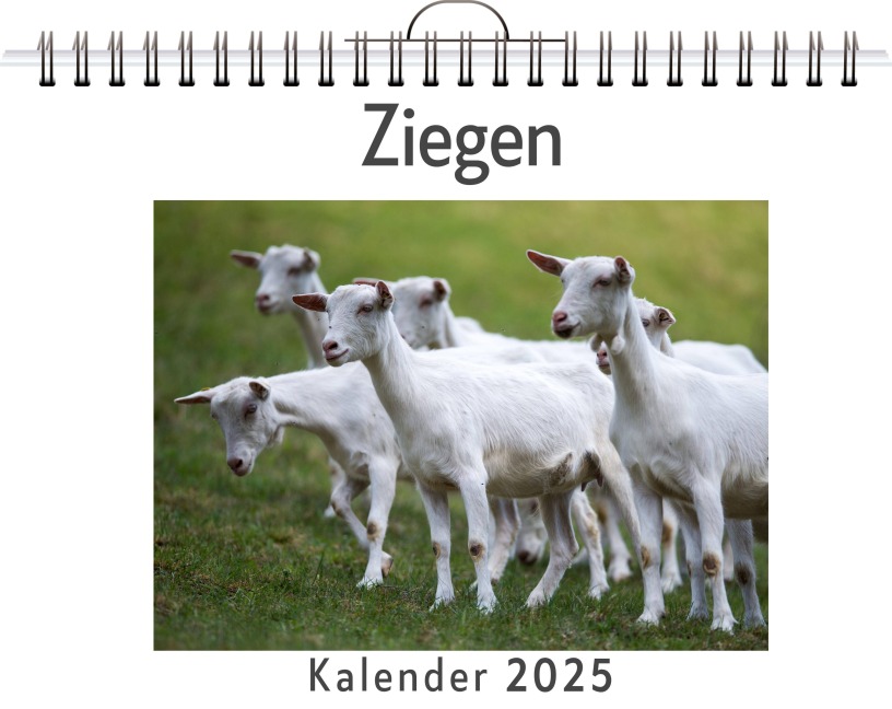 Ziegen - (Wandkalender 2025, Kalender DIN A4 quer, Monatskalender im Querformat mit Kalendarium, das perfekte Geschenk) - Lina Friedrich