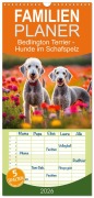 Cover-Bild zum Titel 'Familienplaner 2026 - Bedlington Terrier - Hunde im Schafspelz mit 5 Spalten (Wandkalender, 21 x 45 cm) CALVENDO' von 'Claudia Kleemann'