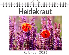 Cover-Bild zum Titel 'Heidekraut' von 'Paul Krüger'