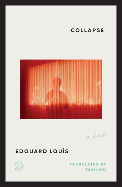 Collapse - Édouard Louis
