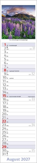 InsideView 8