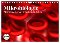 Mikrobiologie. Mikroorganismen, Genetik und Zellen (Wandkalender 2025 DIN A4 quer), CALVENDO Monatskalender - Elisabeth Stanzer