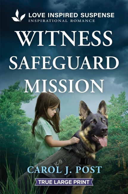 Witness Safeguard Mission - Carol J Post