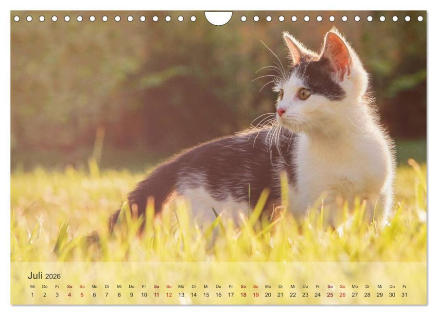 InsideView 12