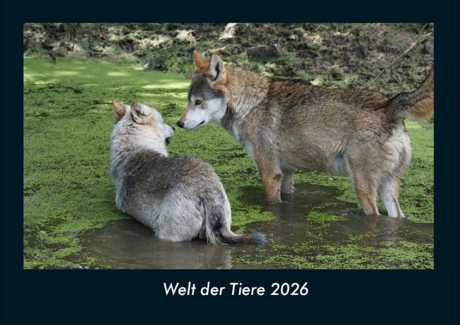 Welt der Tiere 2026 Fotokalender DIN A4 - Tobias Becker