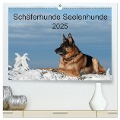 Schäferhunde Seelenhunde (hochwertiger Premium Wandkalender 2025 DIN A2 quer), Kunstdruck in Hochglanz - Petra Schiller