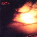 Cover-Bild zum Titel 'Schatten' von 'Sianye'