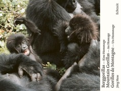 Cover-Bild zum Titel 'Berggorillas - Moutain Gorillas - Gorilles de Montagne' von 'Jörg Hess'