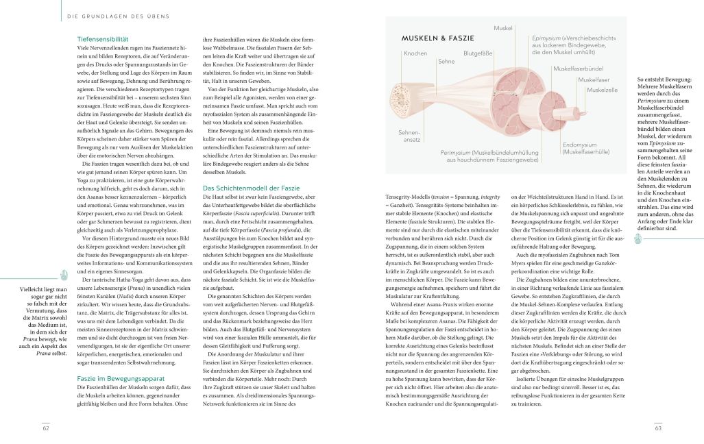 InsideView 6