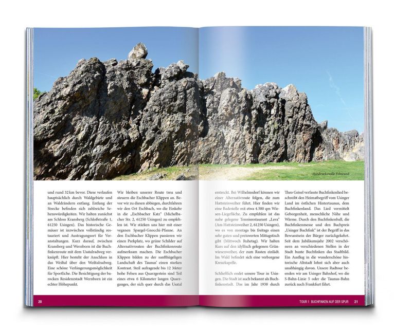 InsideView 6