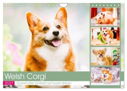 Cover-Bild zum Titel 'Welsh Corgi. Zauberhafter Dickkopf auf kurzen Beinen (Wandkalender 2027 DIN A4 quer), CALVENDO Monatskalender' von 'Rose Hurley'