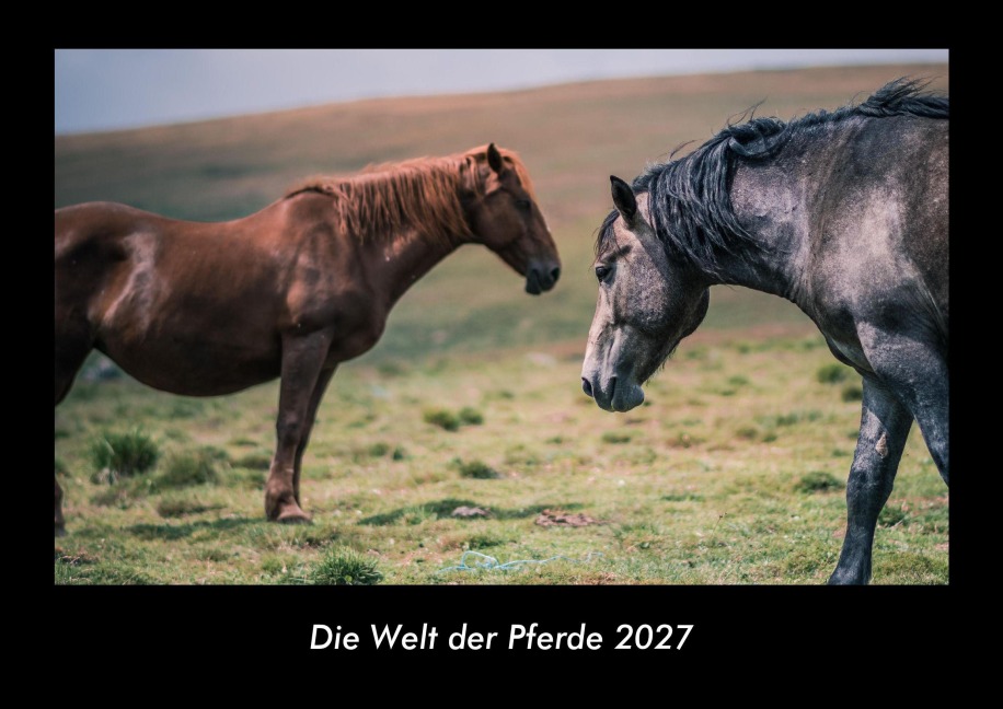 Die Welt der Pferde 2027 Fotokalender DIN A3 - Tobias Becker