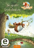Cover-Bild zum Titel 'Hase und Holunderbär - Die große Pechsträhne' von 'Walko'