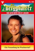 Cover-Bild zum Titel 'Ein Neuanfang im Wachnertal?' von 'Toni Waidacher'