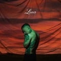 Cover-Bild zum Titel 'Lover' von 'Noah Gundersen'