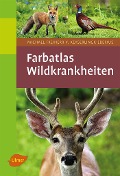 Cover-Bild zum Titel 'Wildkrankheiten' von 'Michael Freiherr v. Keyserlingk-Eberius'