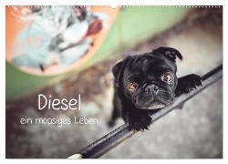 Cover-Bild zum Titel 'Diesel - ein mopsiges Leben (Wandkalender 2026 DIN A2 quer), CALVENDO Monatskalender' von 'Sabrina Wobith Photography - FotosVonMaja'