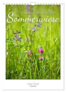 Ein Spaziergang über eine Sommerwiese (Wandkalender 2026 DIN A4 hoch), CALVENDO Monatskalender - Karin Dietzel