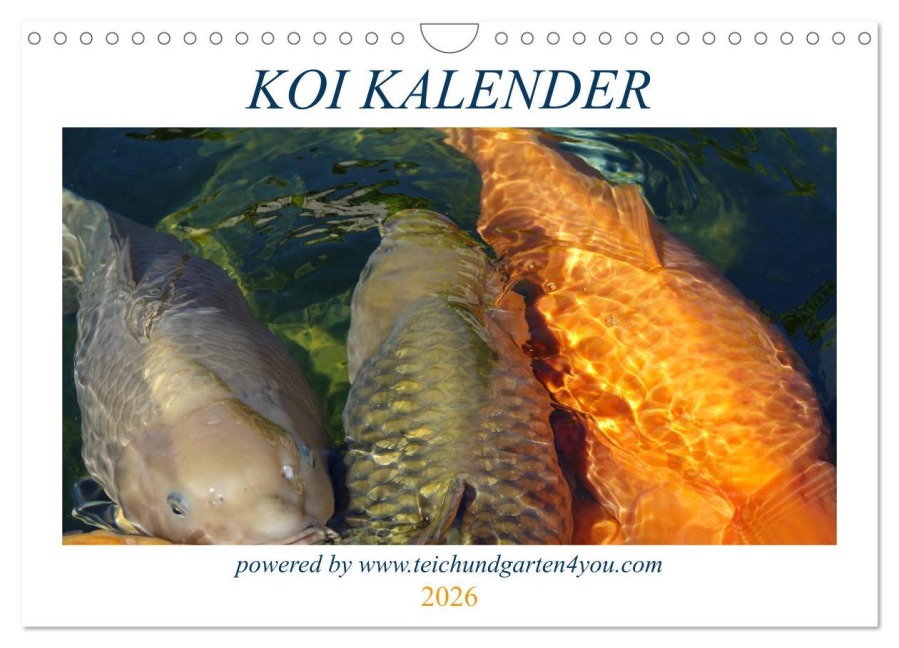 Koikichi Kalender 2026 (Wandkalender 2026 DIN A4 quer), CALVENDO Monatskalender - Florian Wilhelm
