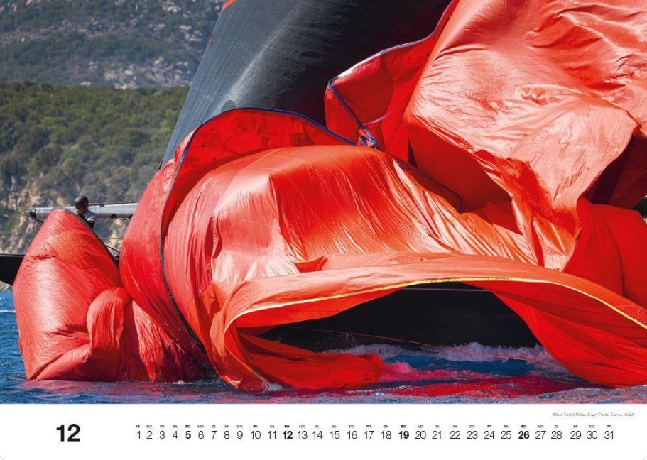 InsideView 12